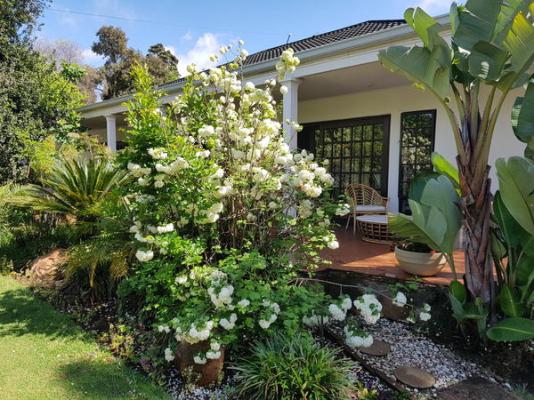 Lucky Bean Guesthouse - 212727