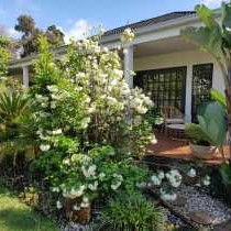 Lucky Bean Guesthouse - 212727