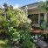 Lucky Bean Guesthouse - 212727
