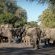 Skukuza Safari Lodge - 212795
