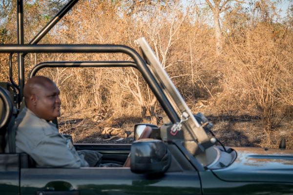 Skukuza Safari Lodge - 212797