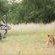 Nkorho Bush Lodge - 212862