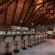 Nkorho Bush Lodge - 212869