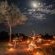 Nkorho Bush Lodge - 212881