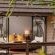 Nkorho Bush Lodge - 212892
