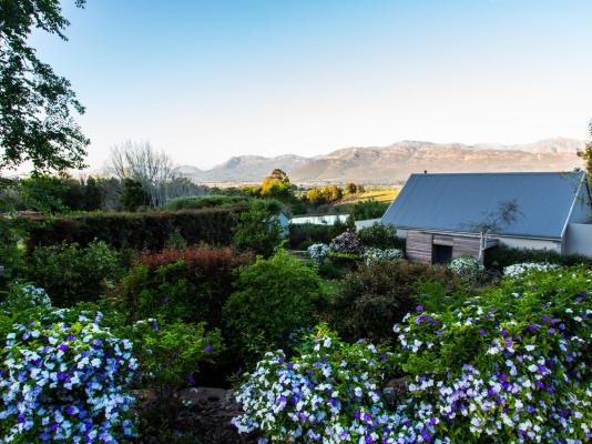 Angala Boutique Hotel - 212931