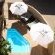Lavender Manor Guest Lodge - 213014