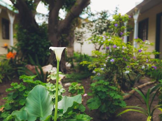 Victoria & Alfred Boutique Hotel - 213267