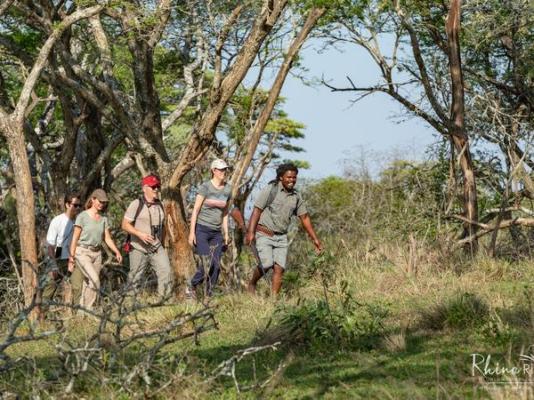 Rhino Ridge Safari Lodge - 213337