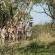 Rhino Ridge Safari Lodge - 213337