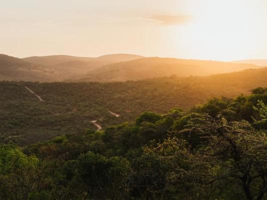 Rhino Ridge Safari Lodge - 213338