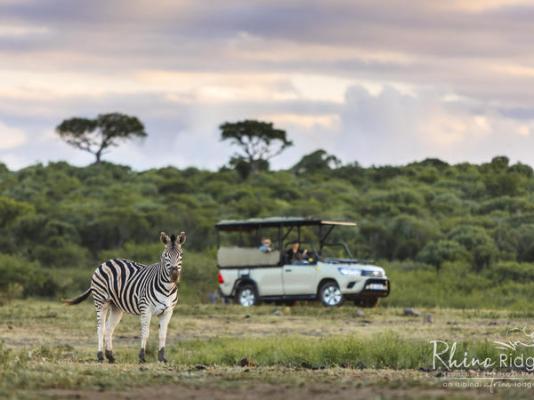 Rhino Ridge Safari Lodge - 213339