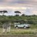 Rhino Ridge Safari Lodge - 213339