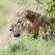 Rhino Ridge Safari Lodge - 213341