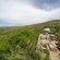 Rhino Ridge Safari Lodge - 213347