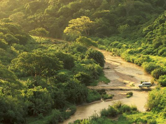 Rhino Ridge Safari Lodge - 213354