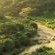 Rhino Ridge Safari Lodge - 213354