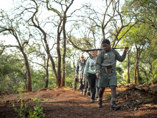 Rhino Ridge Safari Lodge - 213355