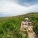 Rhino Ridge Safari Lodge - 213367