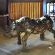 Rhino Ridge Safari Lodge - 213372