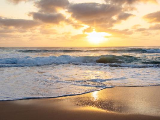 Thonga Beach Lodge - 213399