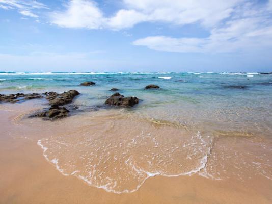 Thonga Beach Lodge - 213402