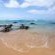 Thonga Beach Lodge - 213402