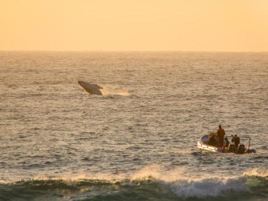 Thonga Beach Lodge - 213405