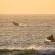 Thonga Beach Lodge - 213405
