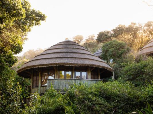 Thonga Beach Lodge - 213413