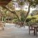 Thonga Beach Lodge - 213415