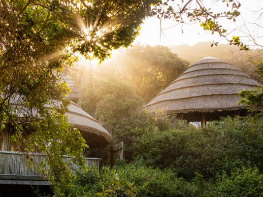 Thonga Beach Lodge - 213423