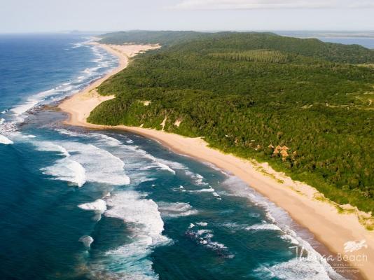 Thonga Beach Lodge - 213433