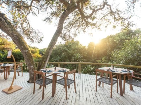 Thonga Beach Lodge - 213446