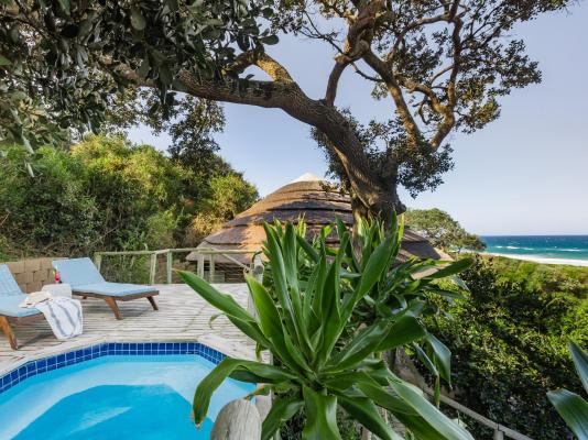Thonga Beach Lodge - 213454