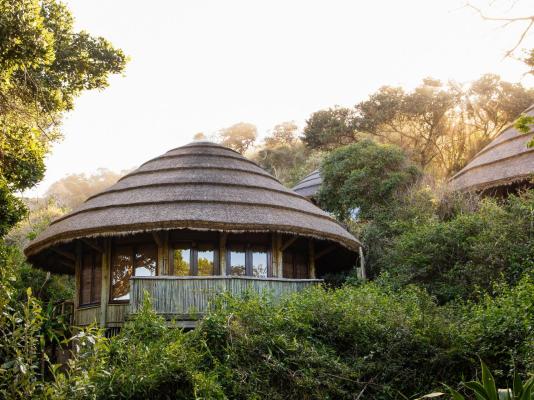 Thonga Beach Lodge - 213468