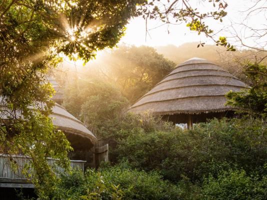 Thonga Beach Lodge - 213469