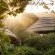 Thonga Beach Lodge - 213469