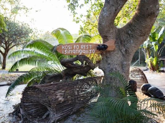 Kosi Forest Lodge - 213480
