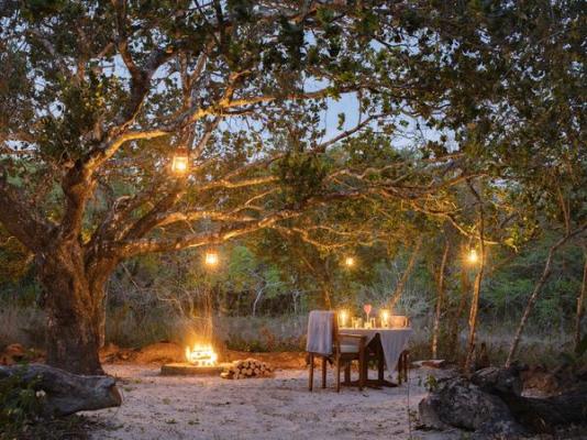 Kosi Forest Lodge - 213485
