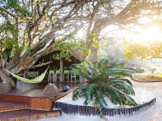 Kosi Forest Lodge - 213494