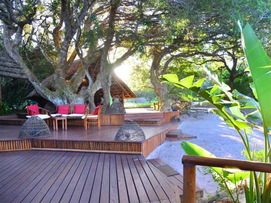 Kosi Forest Lodge - 213497