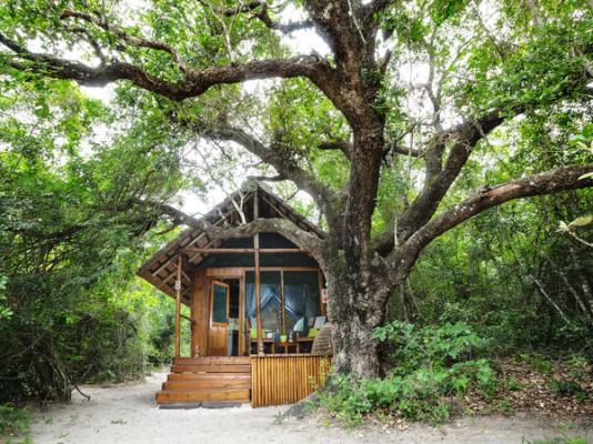 Kosi Forest Lodge - 213500