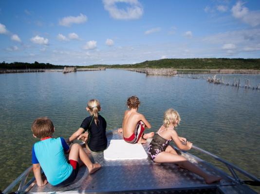 Kosi Forest Lodge - 213503