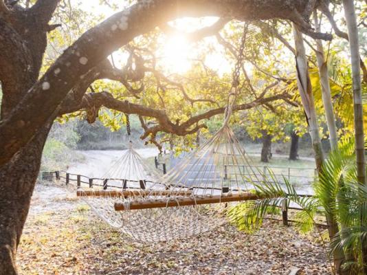 Kosi Forest Lodge - 213504