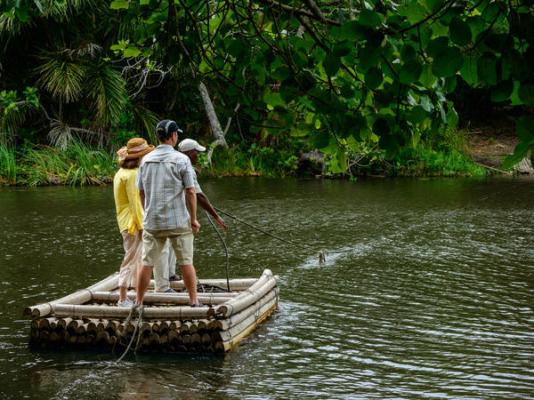Kosi Forest Lodge - 213506