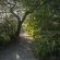 Kosi Forest Lodge - 213510