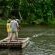 Kosi Forest Lodge - 213517