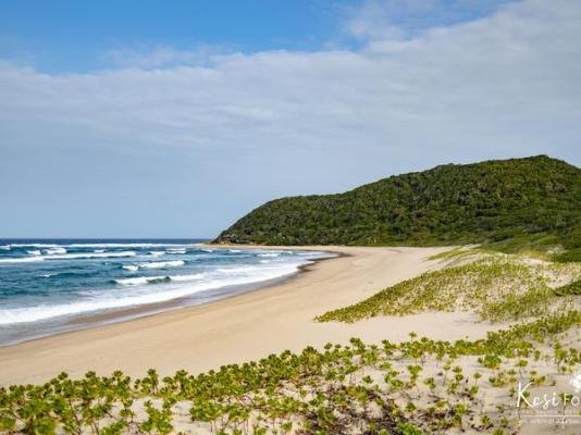 Kosi Forest Lodge - 213518