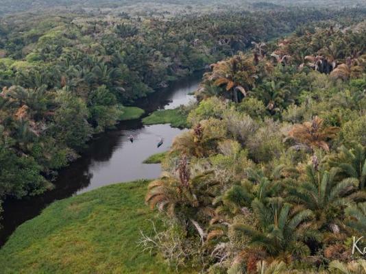 Kosi Forest Lodge - 213519